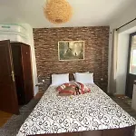 каменната къща 빌라 Borovo (Plovdiv)