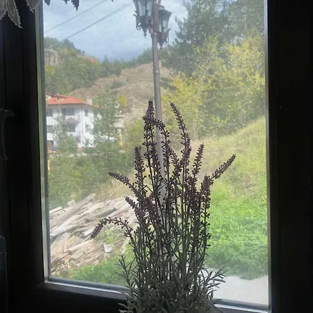 каменната къща Villa *