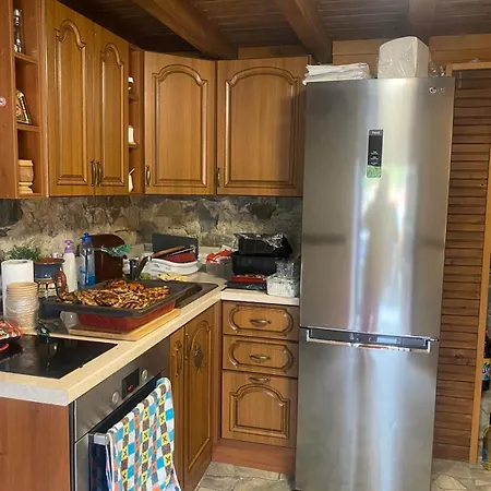 каменната къща *