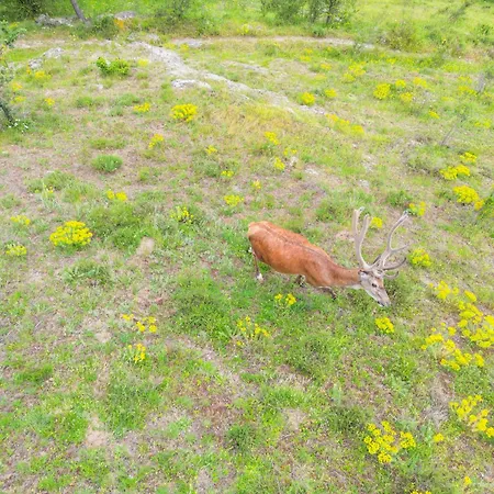 каменната къща ヴィラ