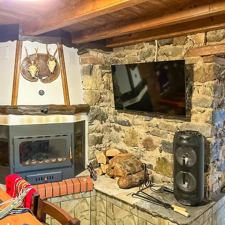 каменната къща Villa Borovo (Plovdiv)