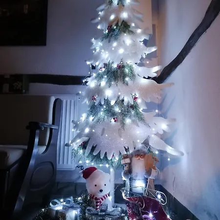 каменната къща Willa Borovo (Plovdiv)