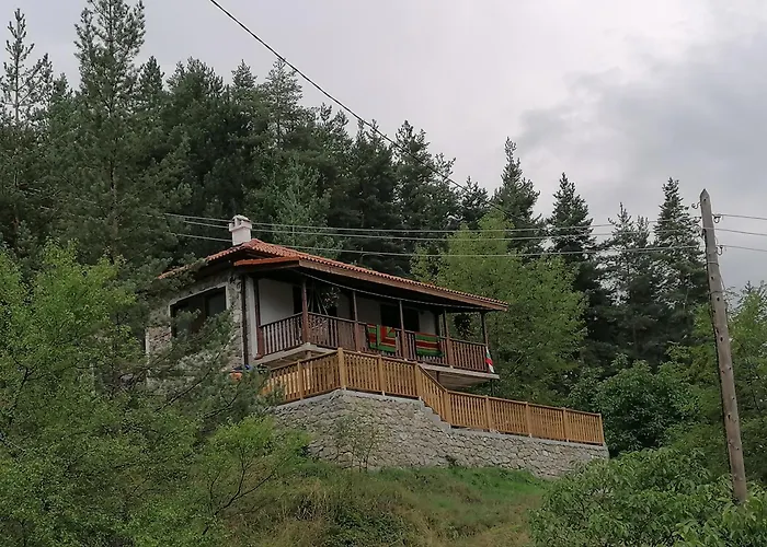 каменната къща Villa Borovo (Plovdiv)