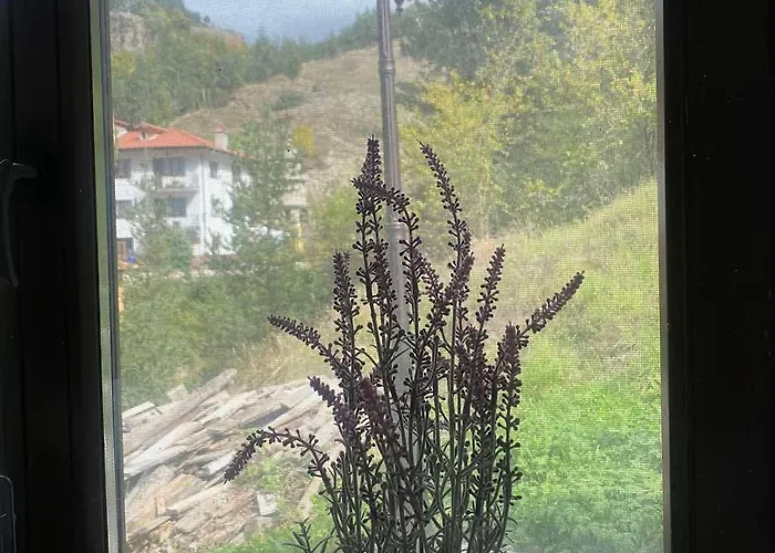 каменната къща Villa *